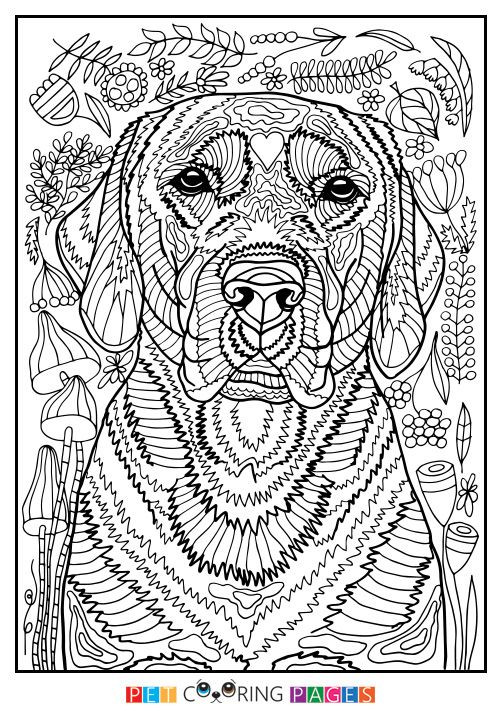 Best ideas about Dog With Puppies Coloring Pages For Teens
. Save or Pin Free printable Labrador Retriever coloring page available Now.