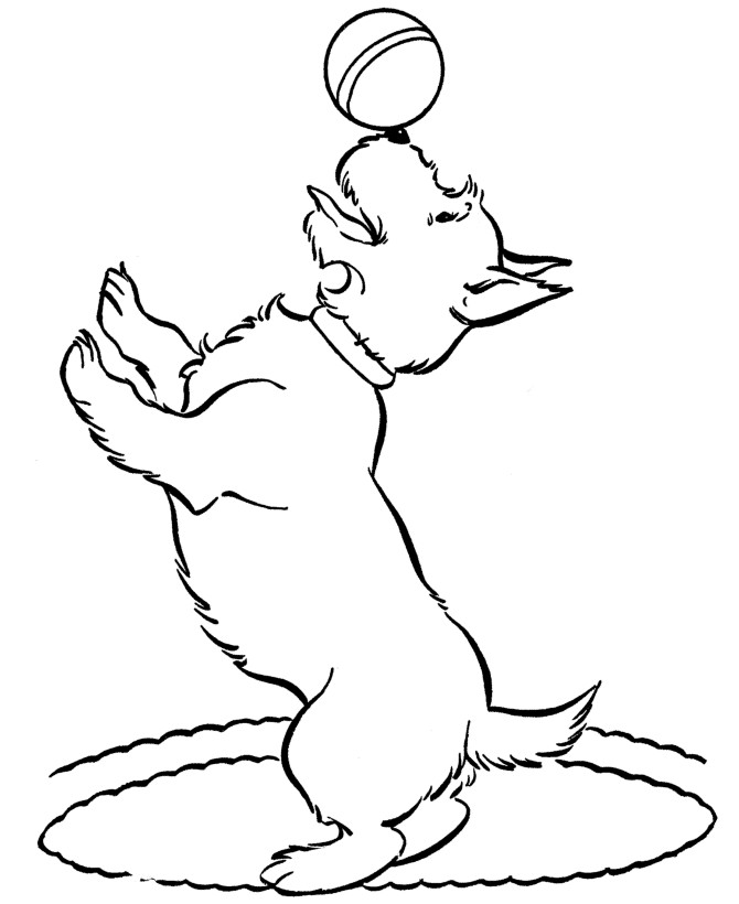 Doggie Coloring Pages
 Free Printable Dog Coloring Pages For Kids