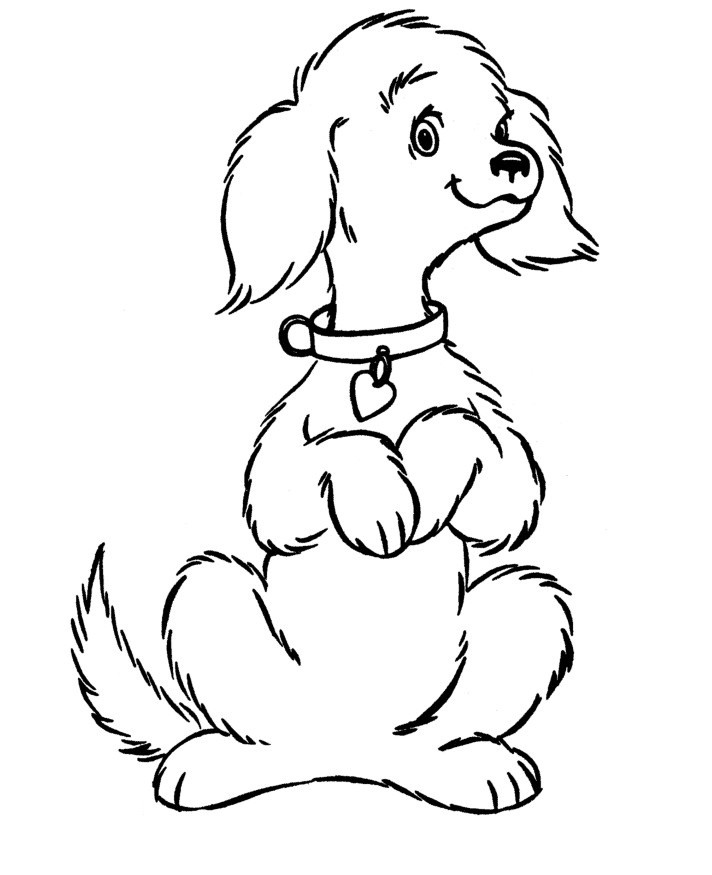 Doggie Coloring Pages
 Free Printable Dog Coloring Pages For Kids