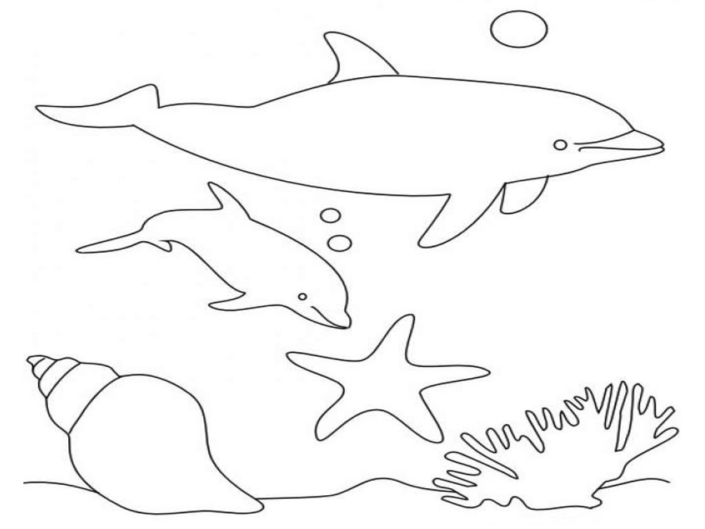 Dolphin Printable Coloring Sheets
 Free Printable Dolphin Coloring Pages For Kids