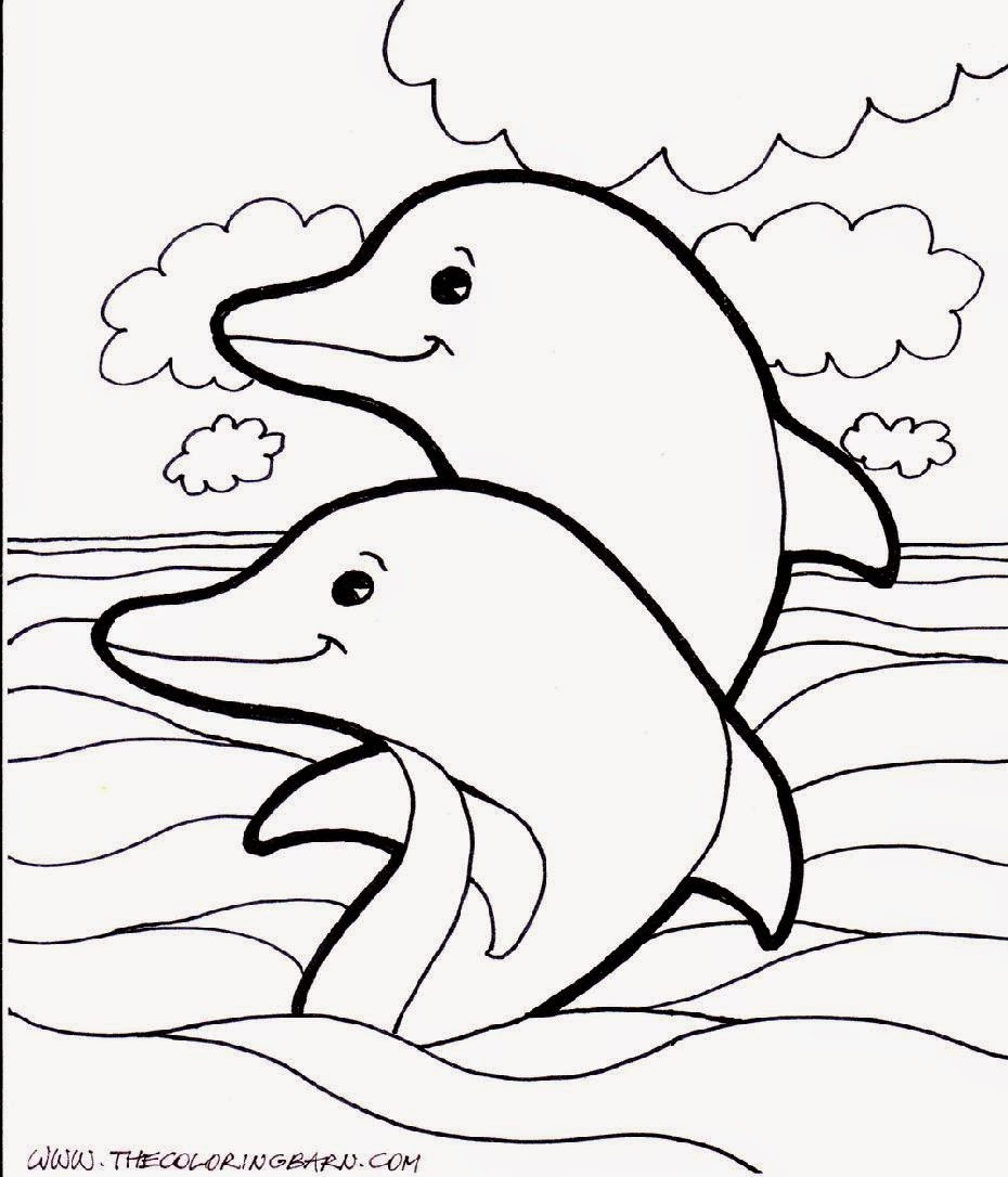 Dolphin Printable Coloring Sheets
 Dolphin To Color