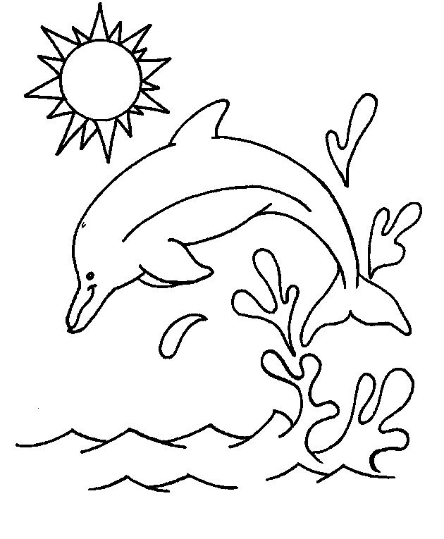 Dolphin Printable Coloring Sheets
 Free Printable Dolphin Coloring Pages For Kids