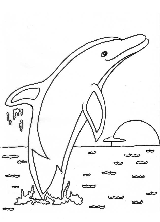 Dolphin Printable Coloring Sheets
 Free Printable Dolphin Coloring Pages For Kids