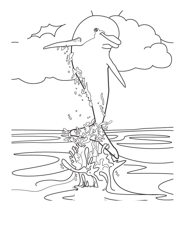 Dolphin Printable Coloring Sheets
 Free Printable Dolphin Coloring Pages For Kids