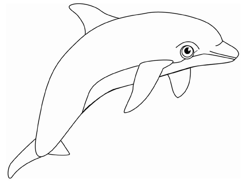 Dolphin Printable Coloring Sheets
 Free Printable Dolphin Coloring Pages For Kids