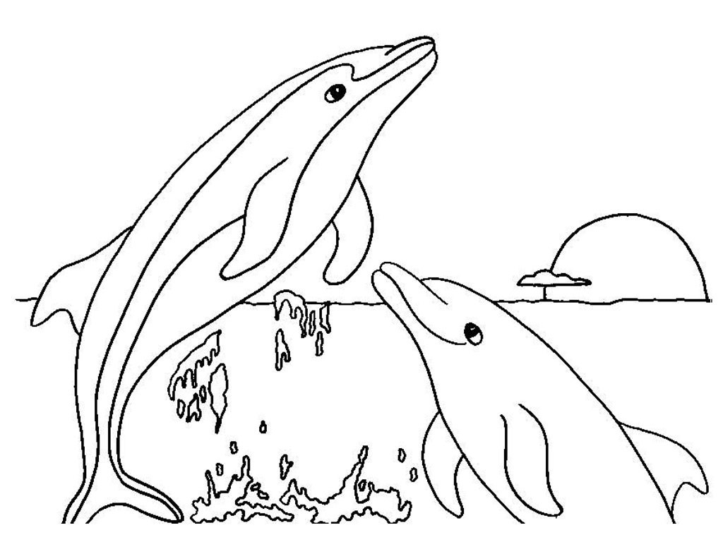 Dolphin Printable Coloring Sheets
 Free Printable Dolphin Coloring Pages For Kids