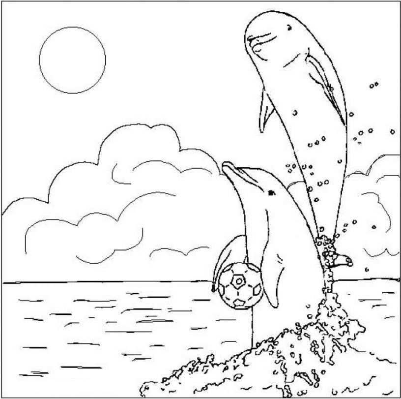 Dolphin Printable Coloring Sheets
 Free Printable Dolphin Coloring Pages For Kids