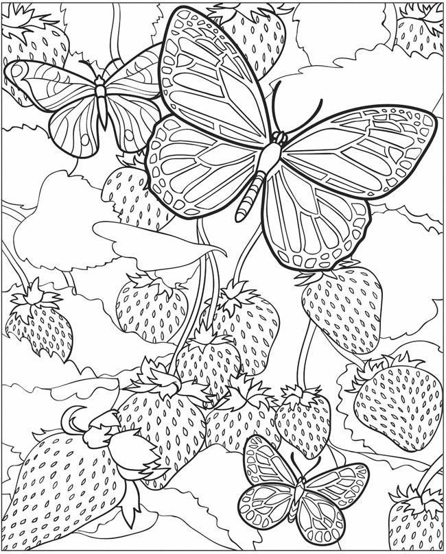 Dover Free Coloring Pages
 Dover publications free coloring pages