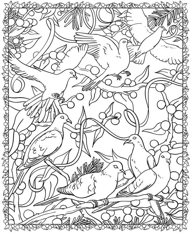 Dover Free Coloring Pages
 Free Dover Coloring Pages Image 39 Gianfreda