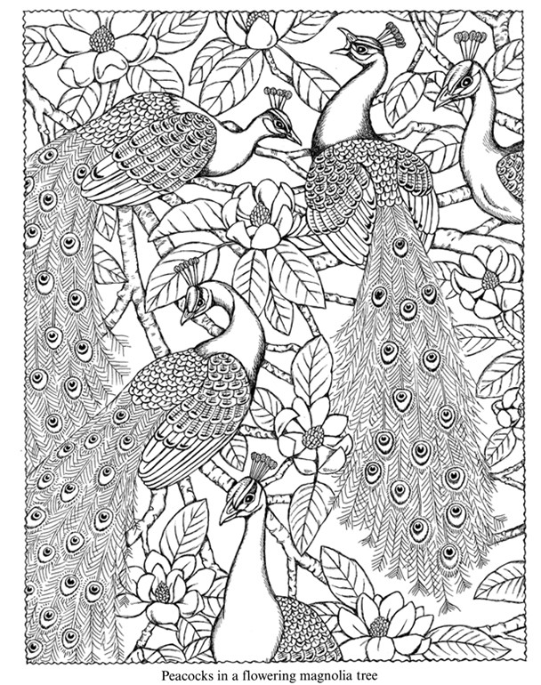 Dover Free Coloring Pages
 Dover Coloring Pages Bestofcoloring