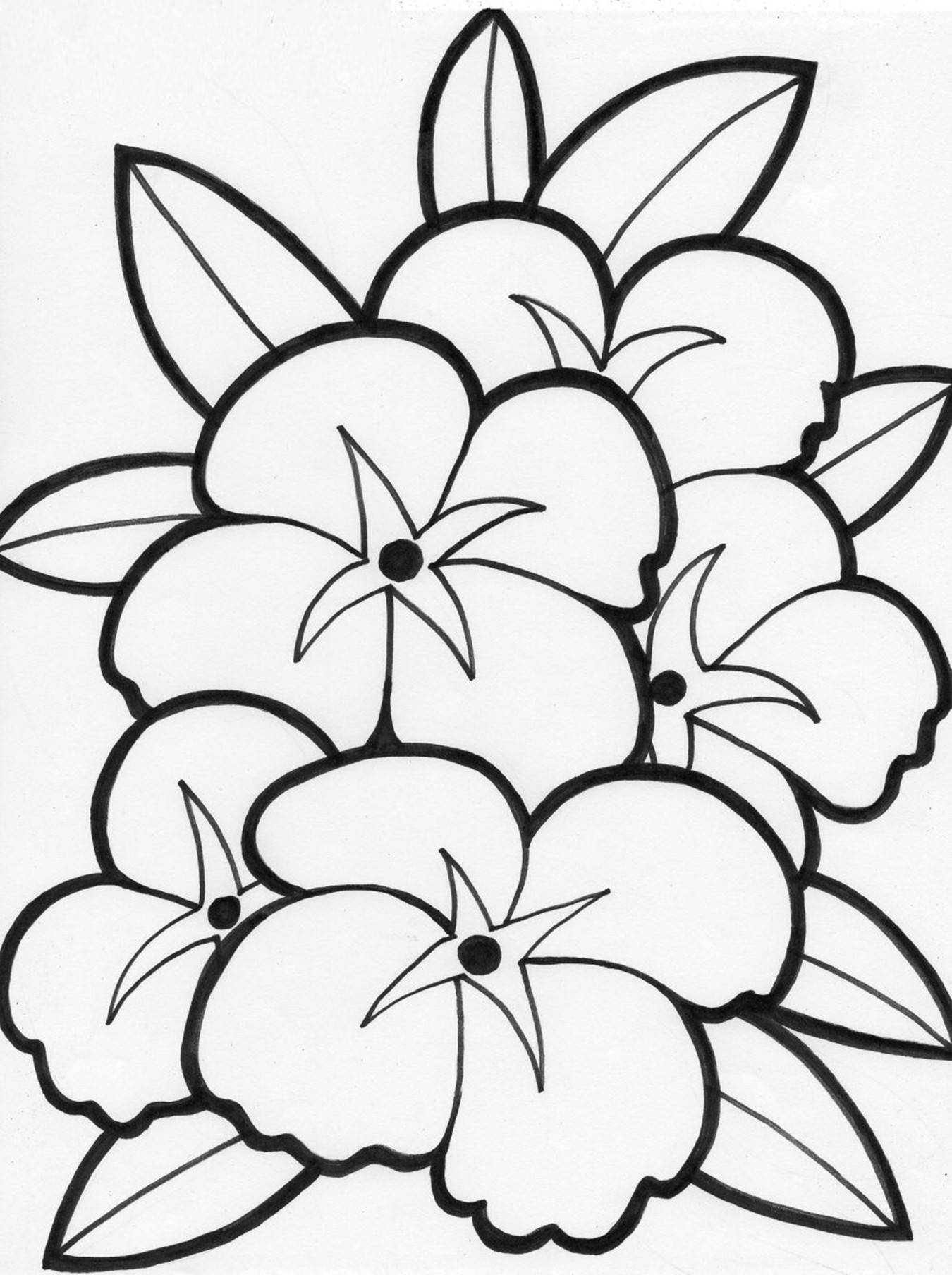 Download Coloring Pages
 Free Printable Flower Coloring Pages For Kids Best