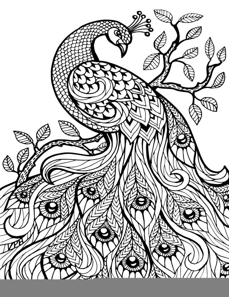 Downloadable Adult Coloring Books
 Free Printable Paisley Coloring Pages For Adults AZ