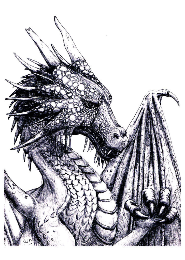 Dragon Adult Coloring Book
 30 Dragon Coloring Pages for Adults Gianfreda