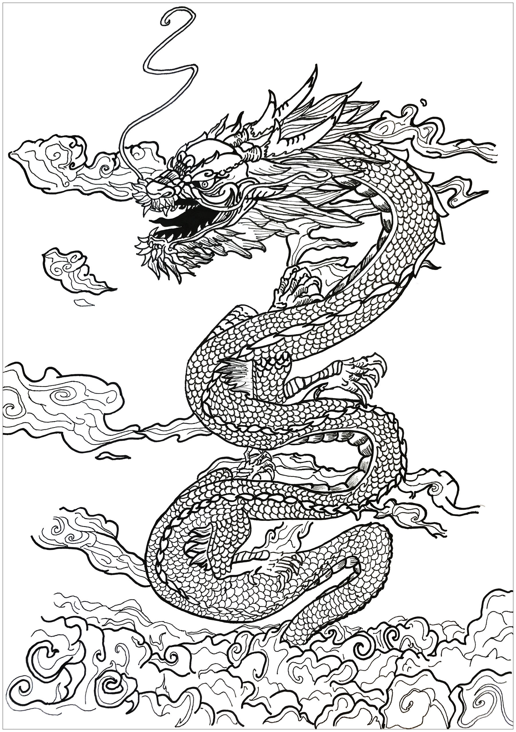 Dragon Adult Coloring Book
 Dragon asian inspiration