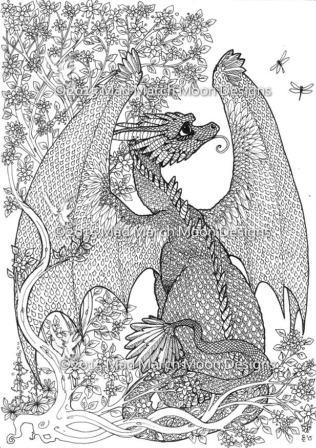 Dragon Adult Coloring Book
 The Dragon Page Colouring petition