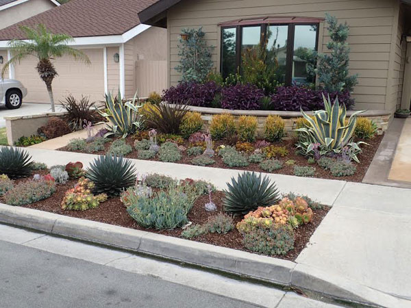 Best ideas about Drought Resistant Landscape
. Save or Pin Drought Tolerant Landscaping Orange County CA Now.