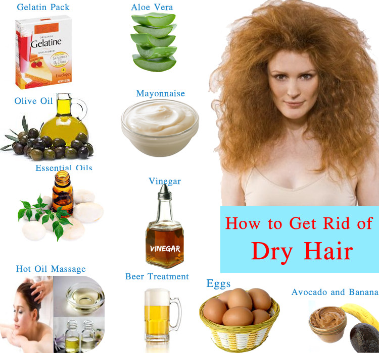 Best ideas about Dry Hair Treatment DIY
. Save or Pin Home Reme s for Dry Hair Now.