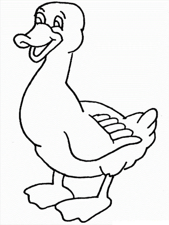 Ducks Coloring Pages
 Free Printable Duck Coloring Pages For Kids