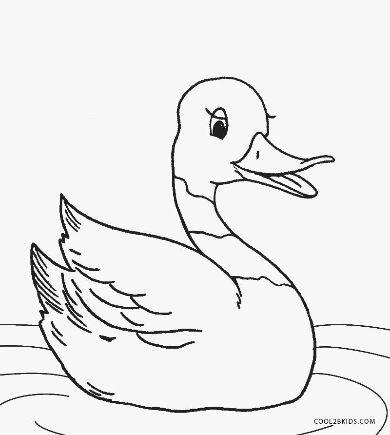 Ducks Coloring Pages
 Printable Duck Coloring Pages For Kids