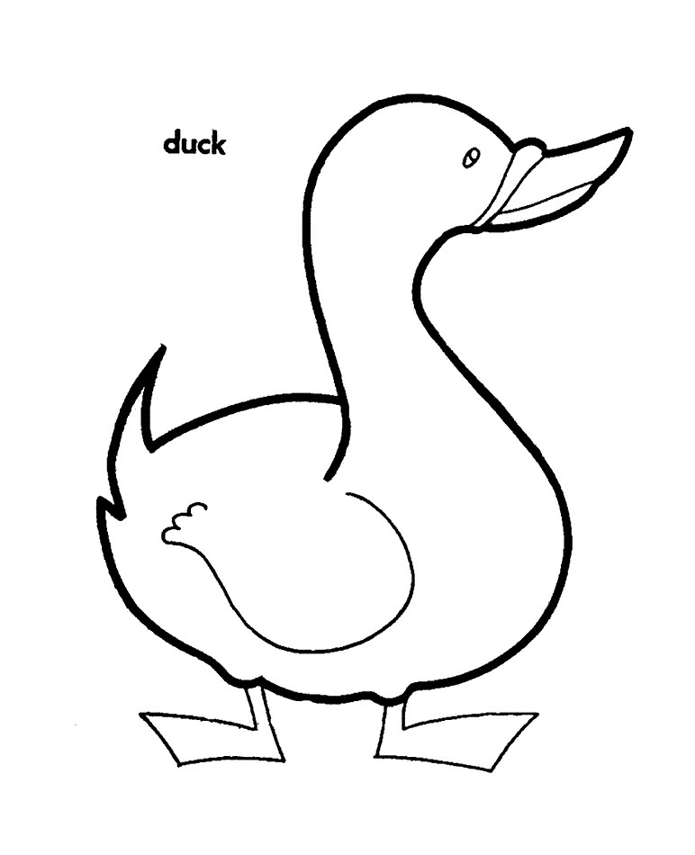 Ducks Coloring Pages
 Free Printable Duck Coloring Pages For Kids