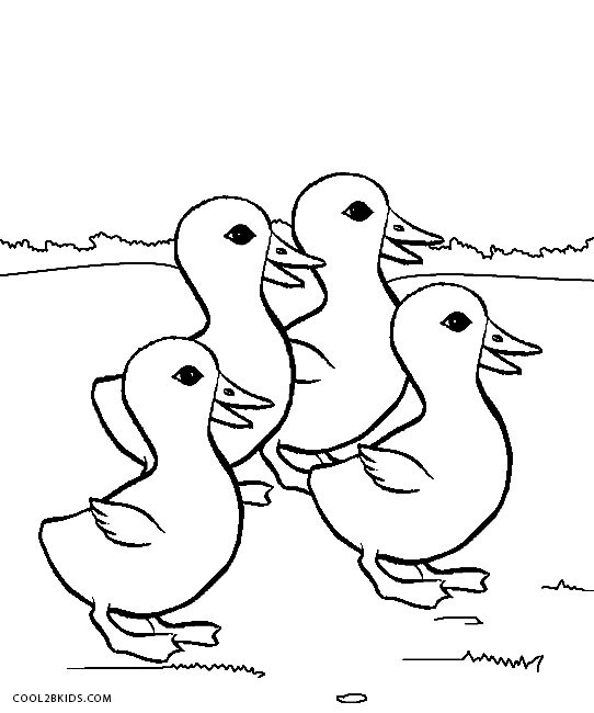 Ducks Coloring Pages
 Printable Duck Coloring Pages For Kids