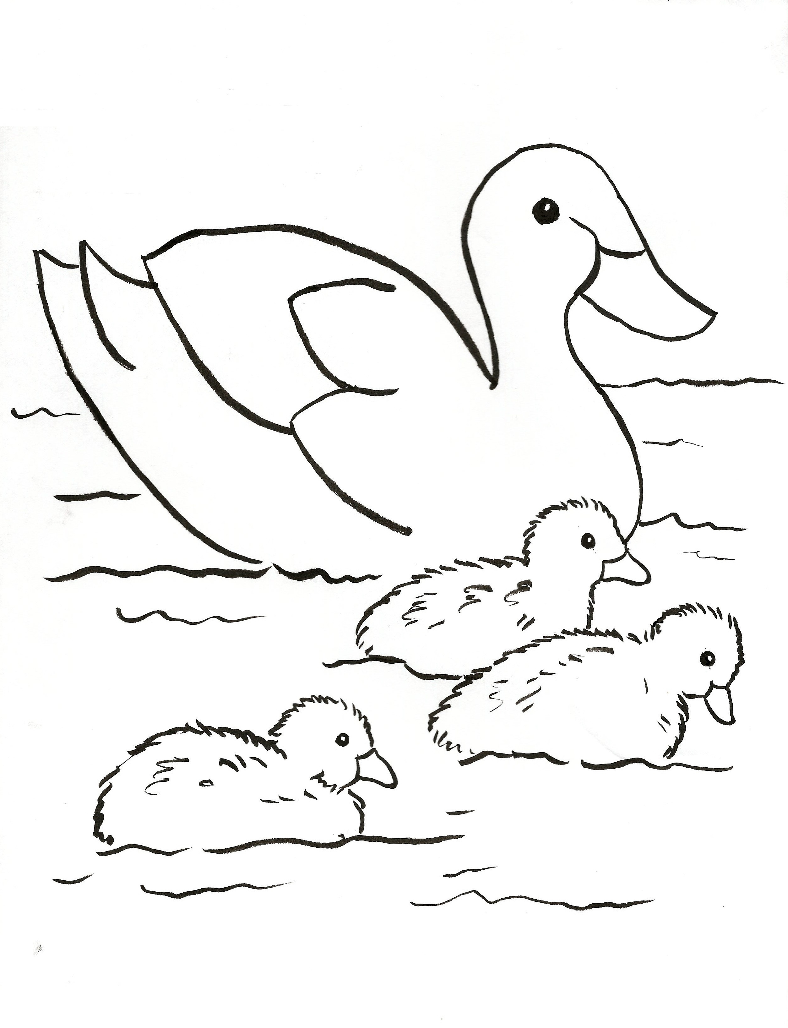 Ducks Coloring Pages
 Duck Family Coloring Page Samantha Bell