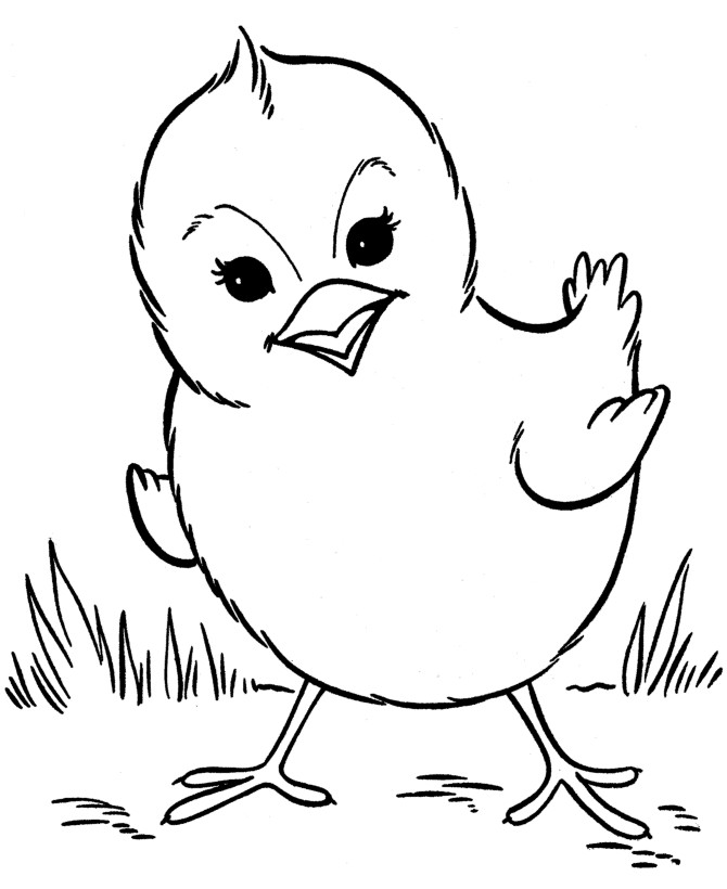 Easter Chick Coloring Pages
 Small Chicks Coloring Pages Coloring Pages