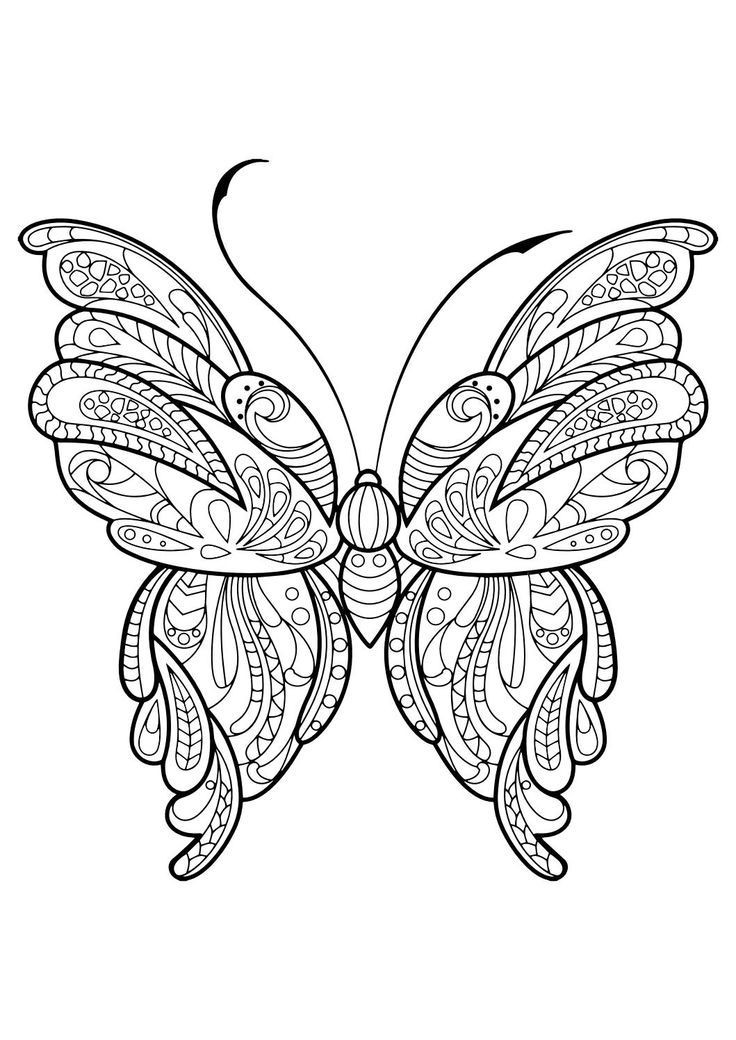 Best ideas about Easy Adult Coloring Books
. Save or Pin Adult Butterfly Coloring Book Now.