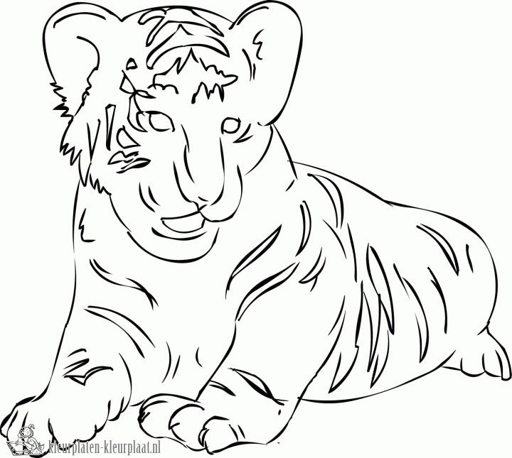 Easy Coloring Sheets For Kids Tigers
 Kleurplaten tijger