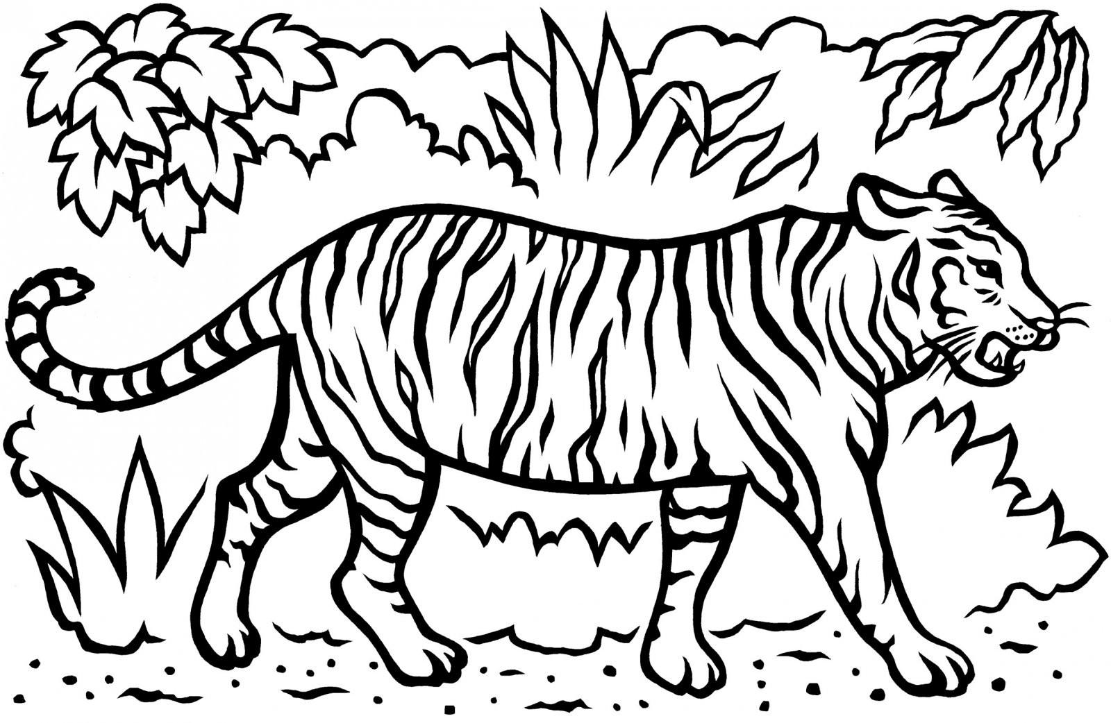 Easy Coloring Sheets For Kids Tigers
 Dibujos de tigres HD