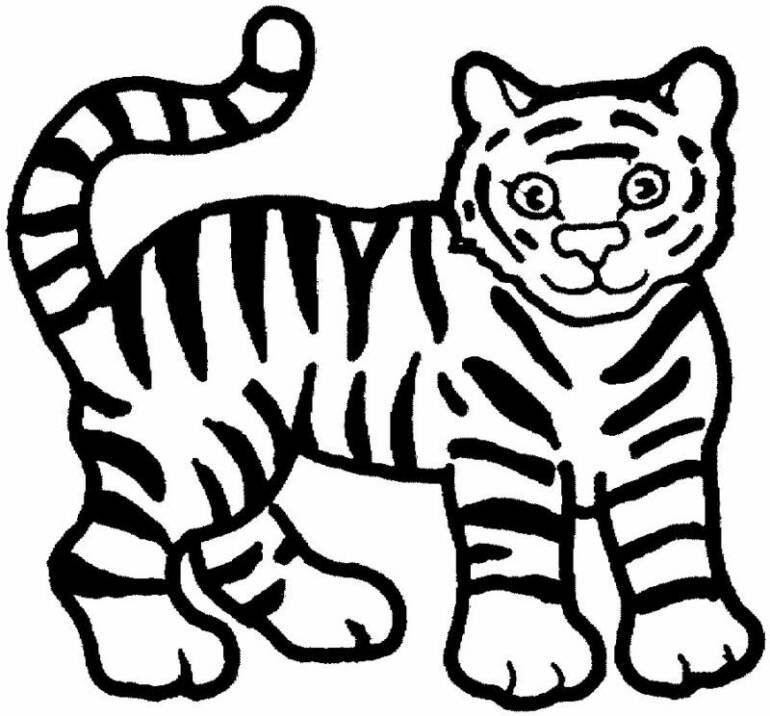 Easy Coloring Sheets For Kids Tigers
 Dibujos para niños de tigres para colorear HD