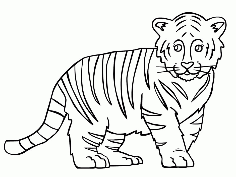 Easy Coloring Sheets For Kids Tigers
 Outline A Tiger Coloring Home