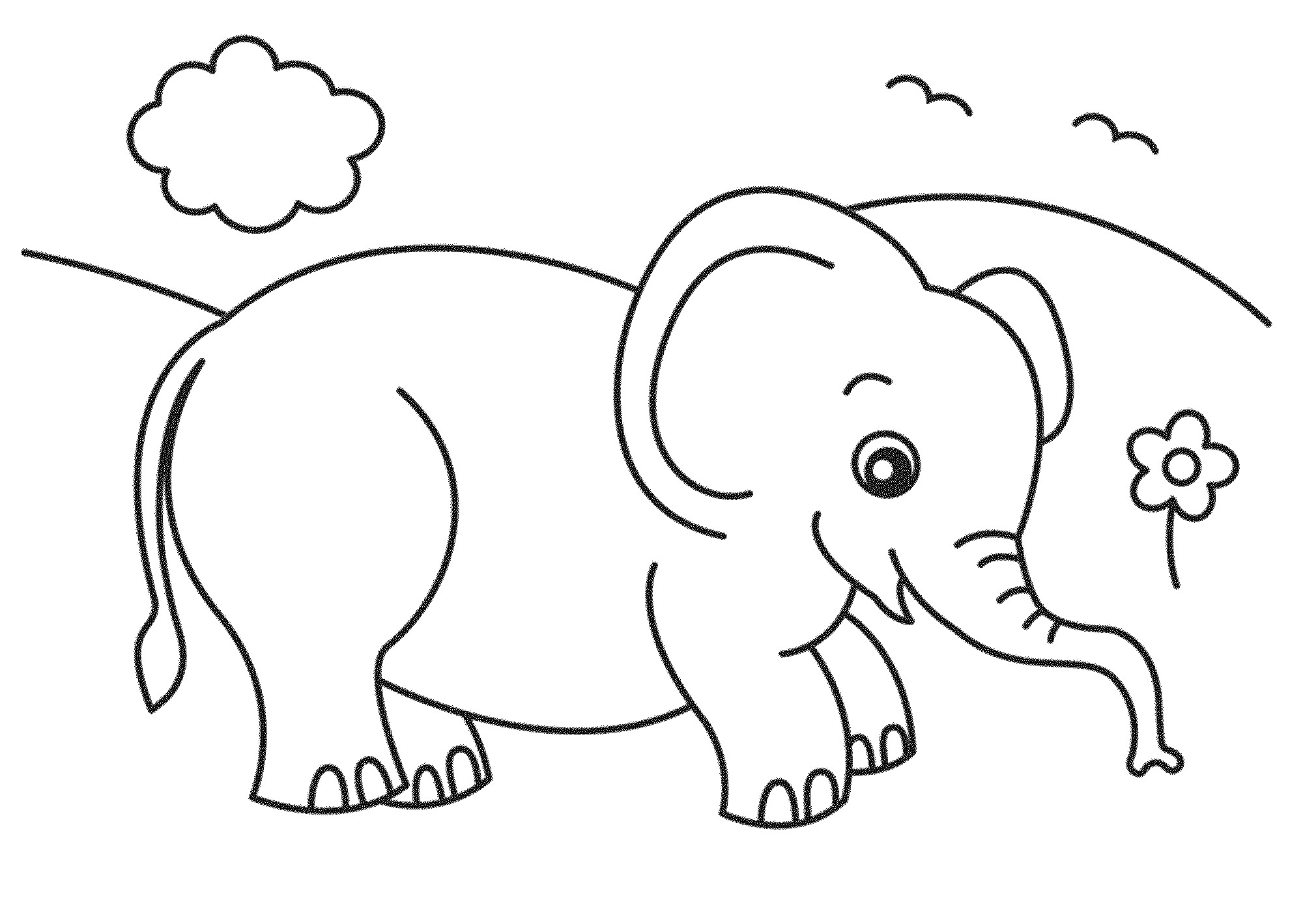 Elephant Coloring Book For Kids
 Elephant Coloring Pages Dr Odd