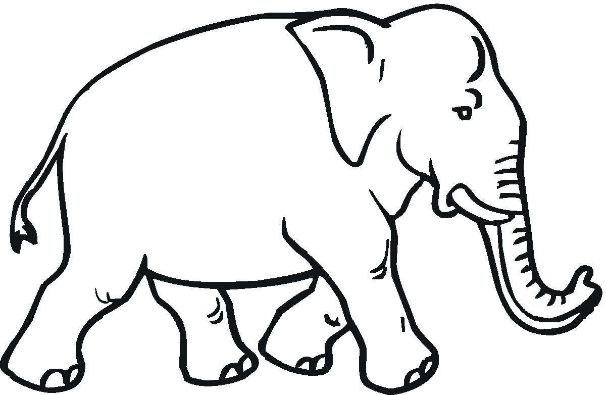 Elephant Coloring Book For Kids
 Elephant Coloring Pages Dr Odd