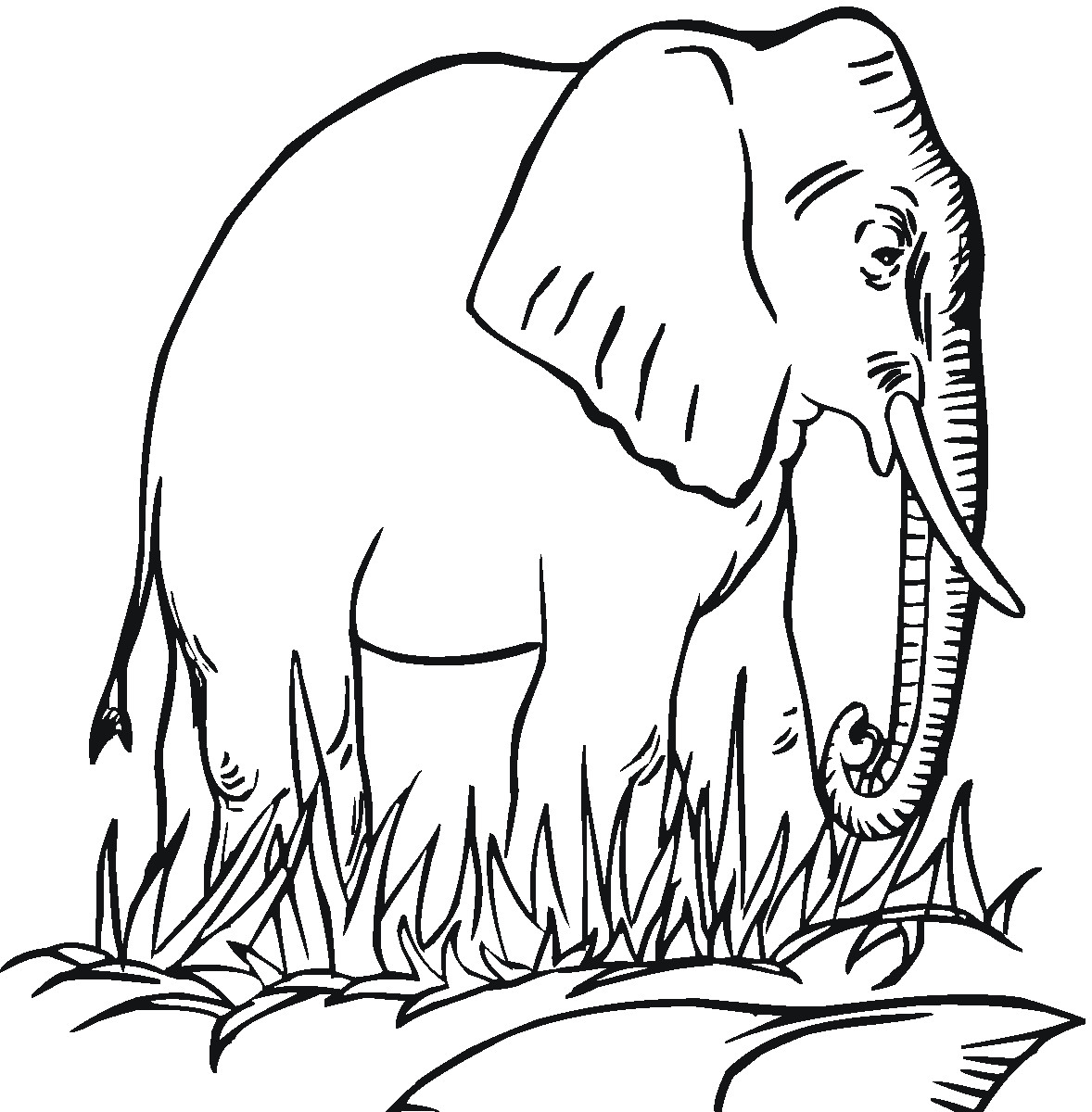 Elephant Coloring Book Pages
 Free Printable Elephant Coloring Pages For Kids