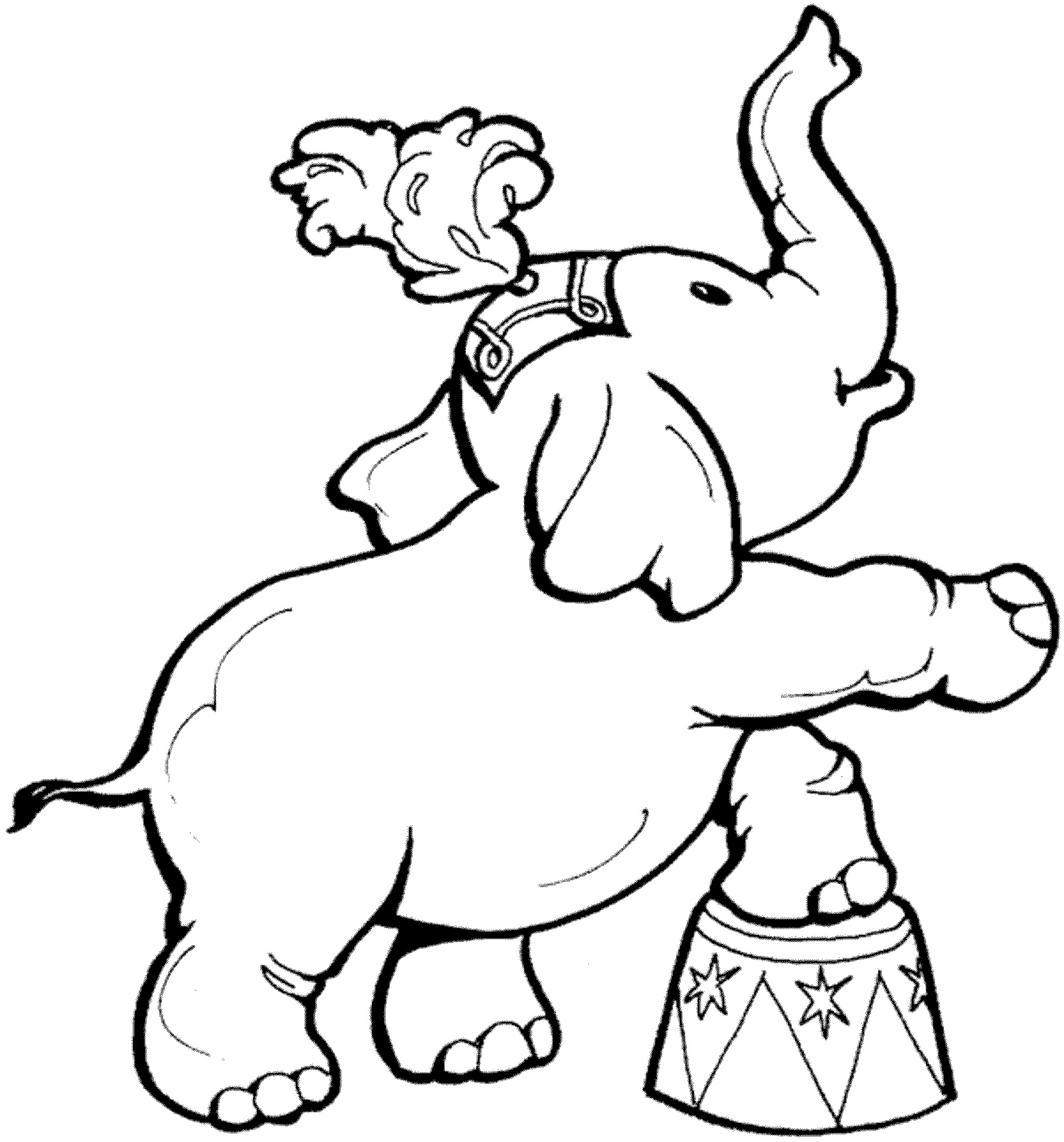 Elephant Coloring Book Pages
 coloring page elephant
