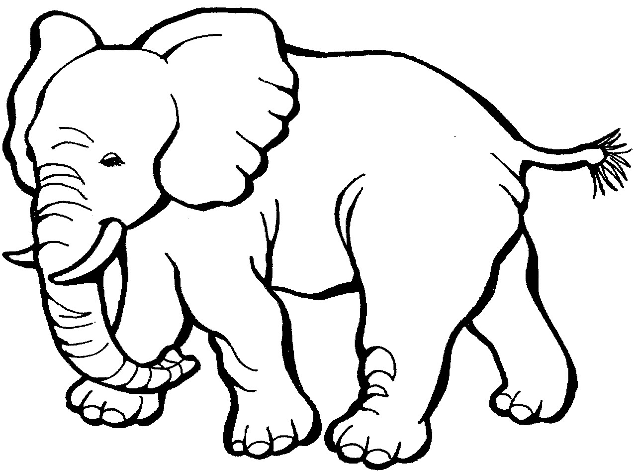Elephant Coloring Sheet
 Free Printable Elephant Coloring Pages For Kids