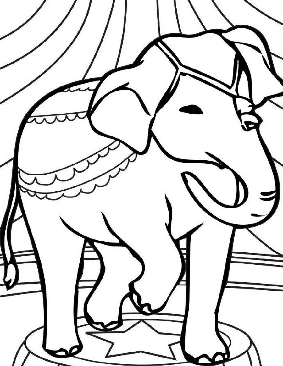 Elephant Coloring Sheet
 Elephant Coloring Pages Bestofcoloring