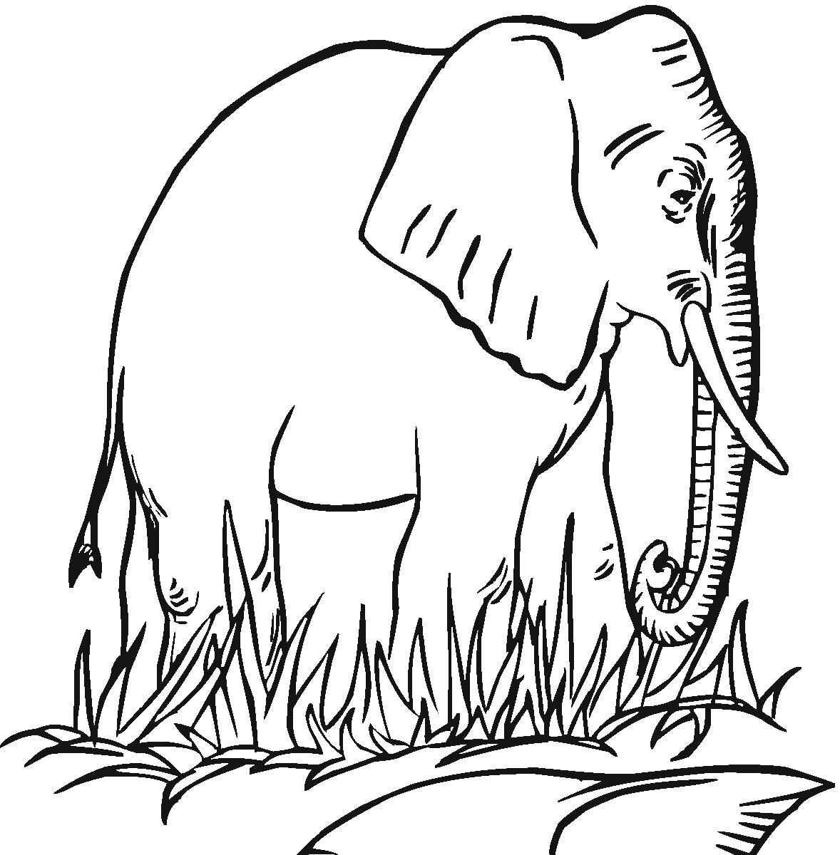 Elephants Coloring Pages
 Free Printable Elephant Coloring Pages For Kids