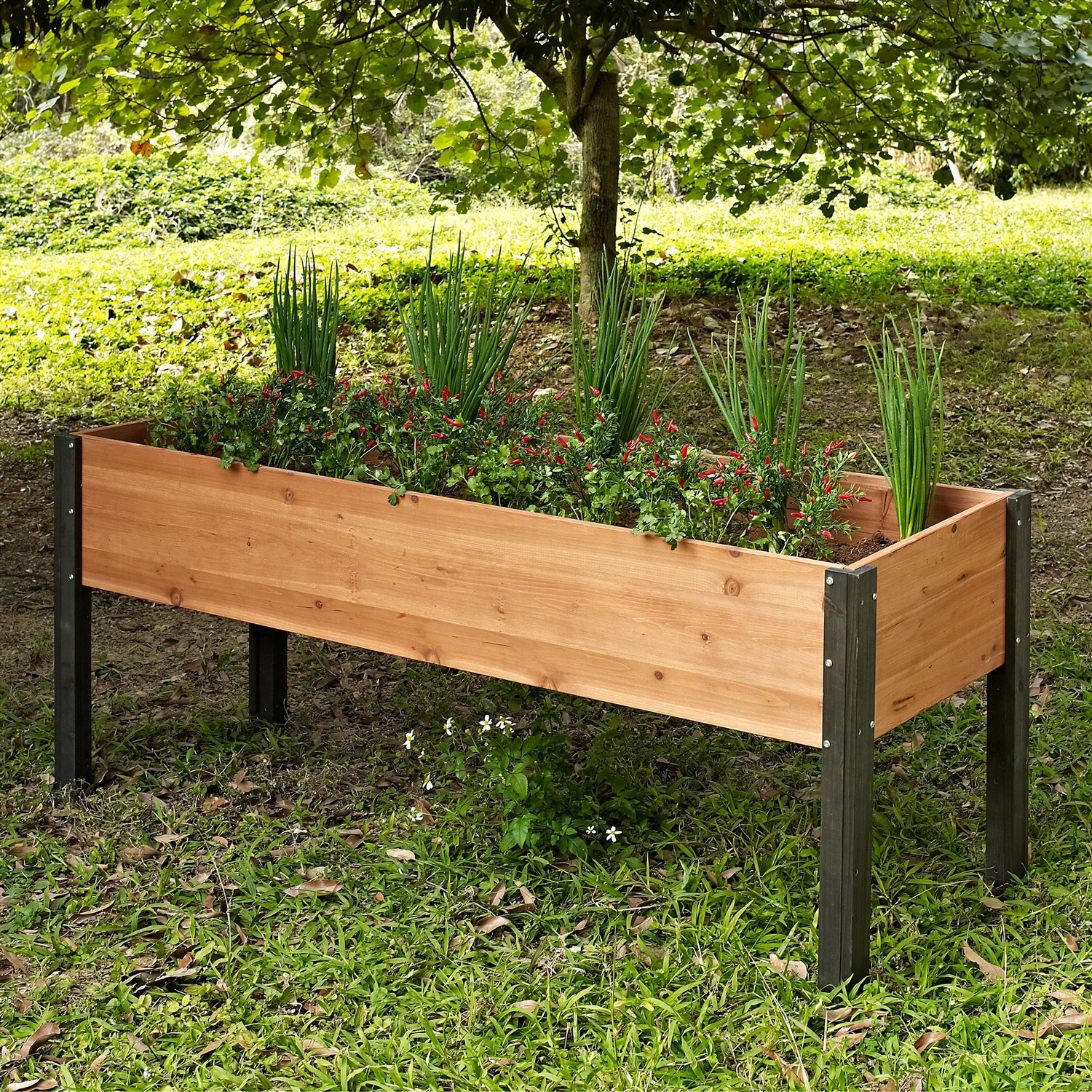 Best ideas about Elevated Garden Planters
. Save or Pin Elevated Outdoor Raised Garden Bed Planter Box 70 x 24 x Now.