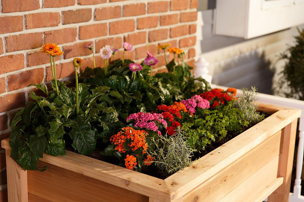 Best ideas about Elevated Garden Planters
. Save or Pin Elevated Garden Planter Boxes YardCraft Now.