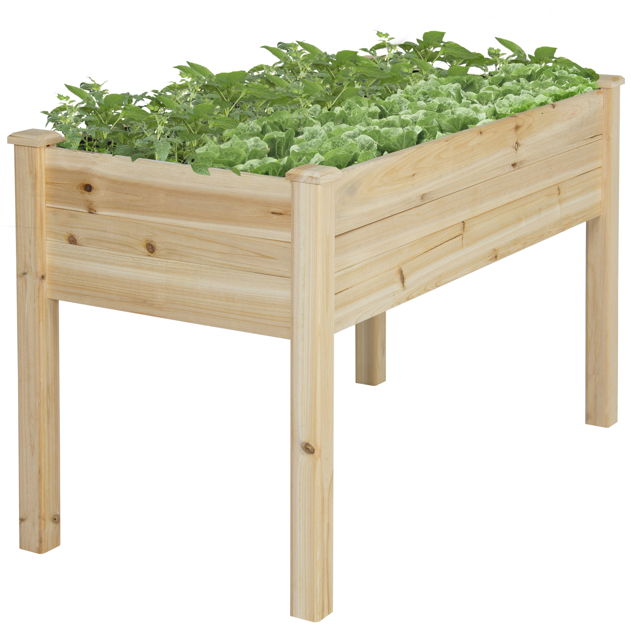 Best ideas about Elevated Garden Planters
. Save or Pin BCP Raised Ve able Garden Bed Elevated Planter Kit Grow Now.