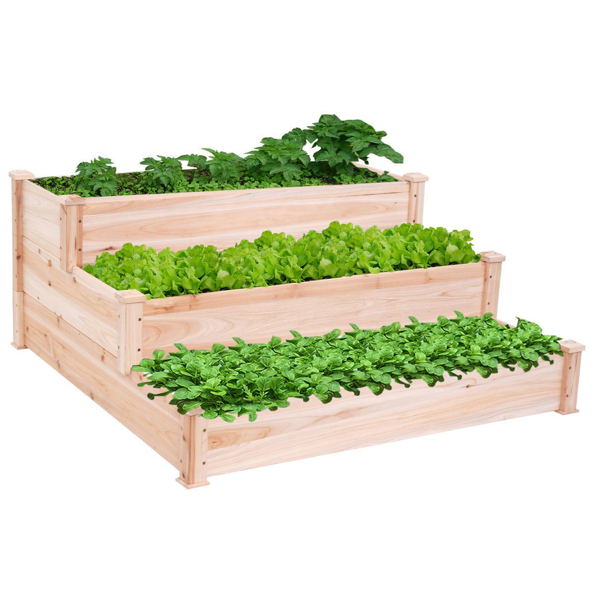 Best ideas about Elevated Garden Planters
. Save or Pin Outdoor Wooden Raised Ve able Garden Bed 3 Tier Elevated Now.