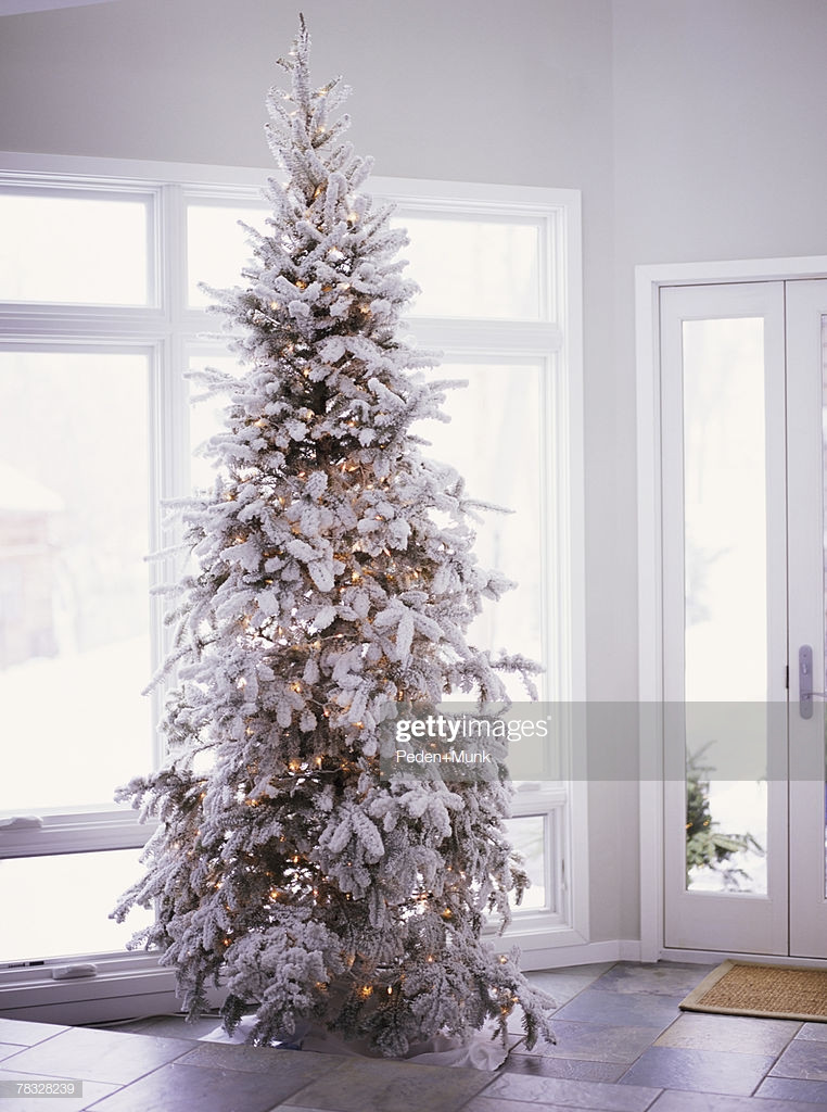 Best ideas about Entryway Christmas Trees
. Save or Pin Christmas Tree In Entryway Stock Now.