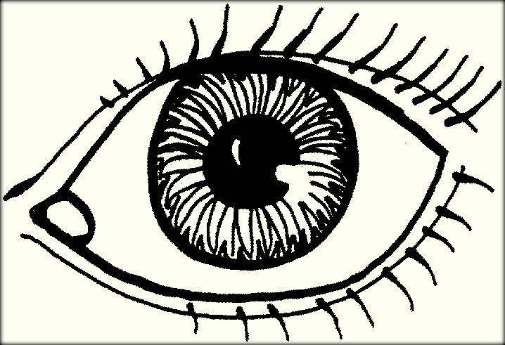 Eyes Preschool Coloring Sheets
 Human Eyes Coloring Pages For Preschoolers Color Zini