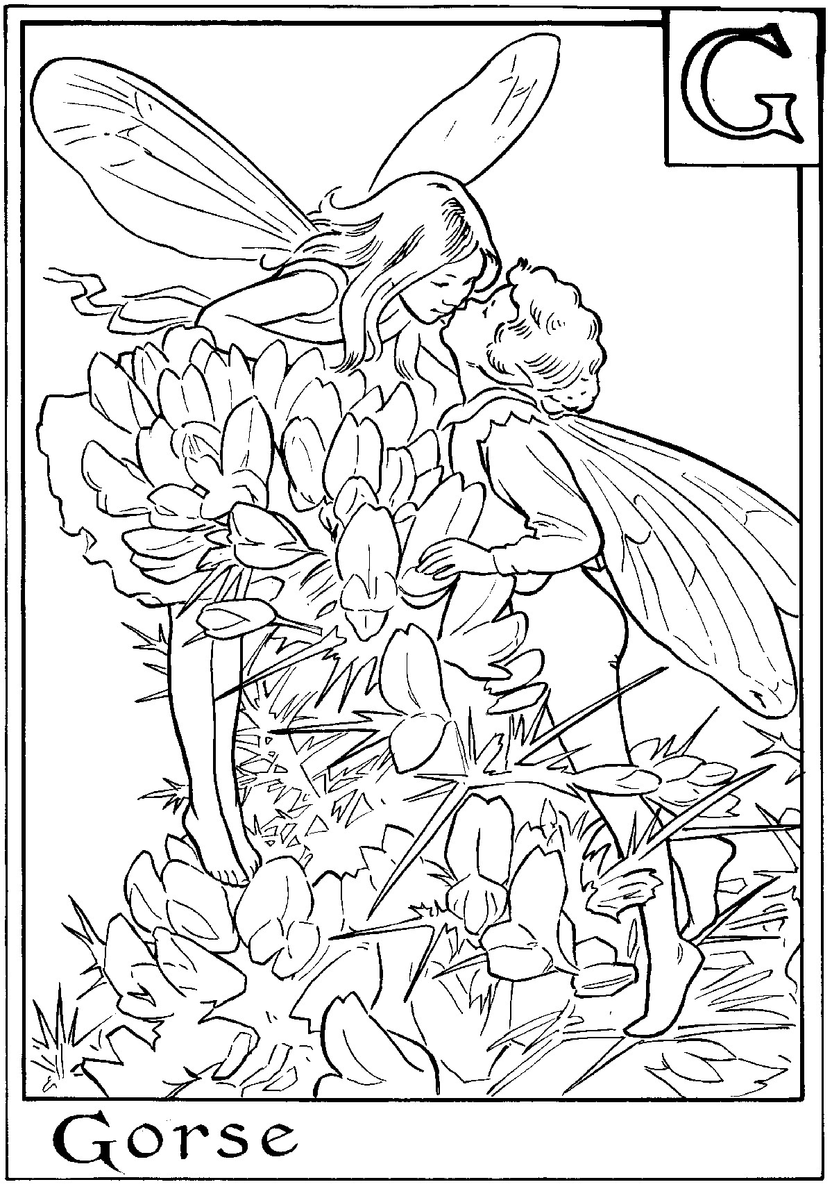 Fairies Coloring Pages For Adults
 Free Printable Fairy Coloring Pages For Kids