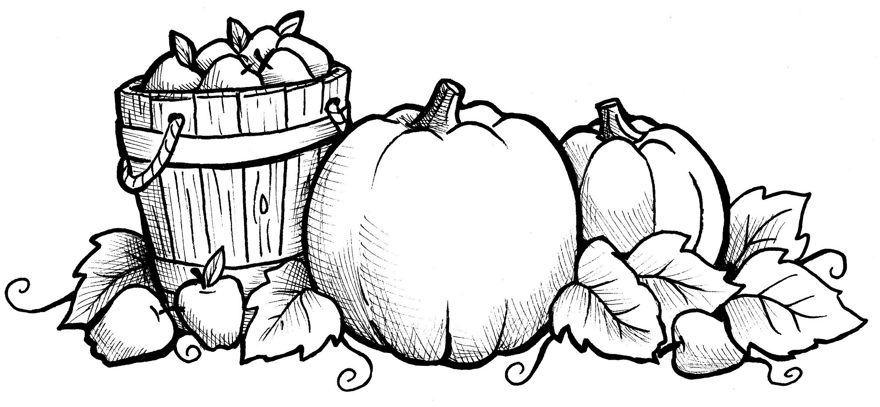 Fall Coloring Pages
 Fall Coloring Sheets Printable