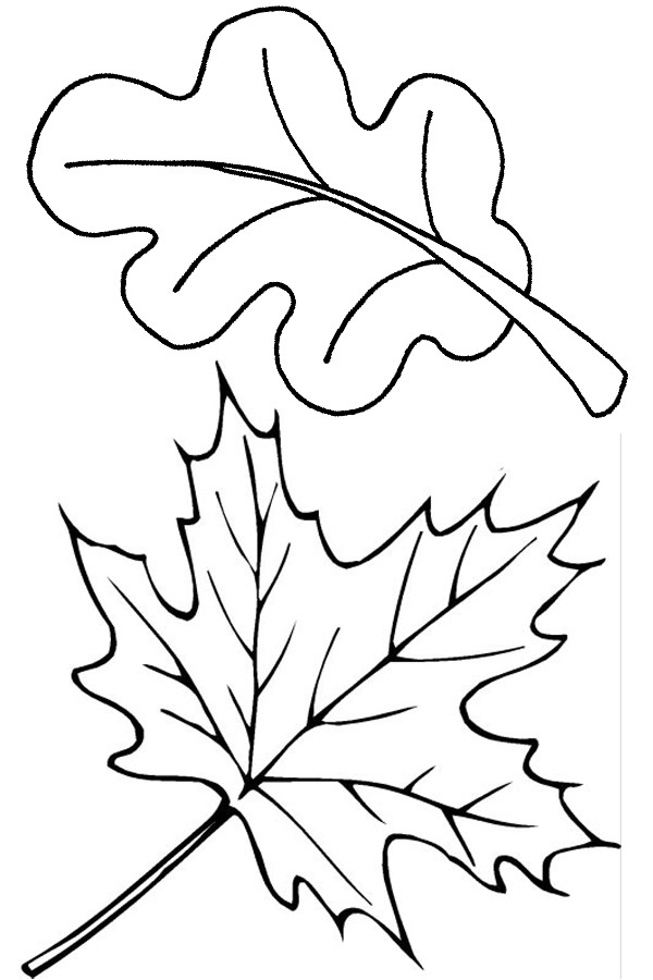 Fall Leaves Coloring Sheet
 Free Printable Leaf Coloring Pages For Kids