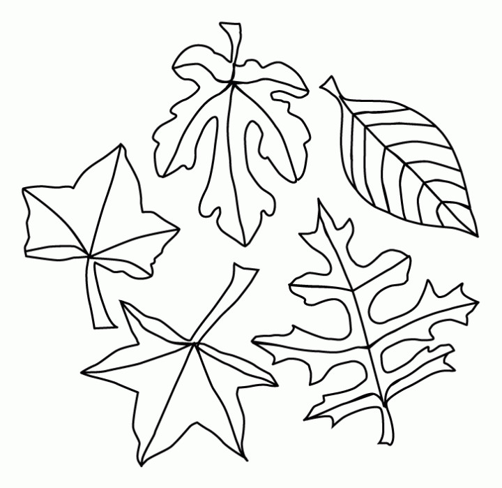 Fall Leaves Coloring Sheet
 Autumn Leaves Coloring Pages AZ Coloring Pages