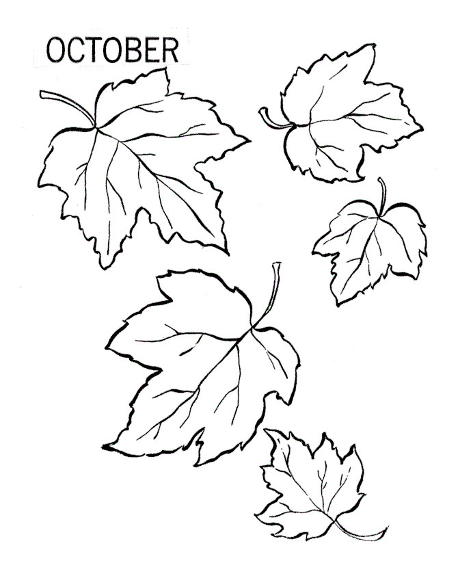 Fall Leaves Coloring Sheet
 Free Printable Leaf Coloring Pages For Kids